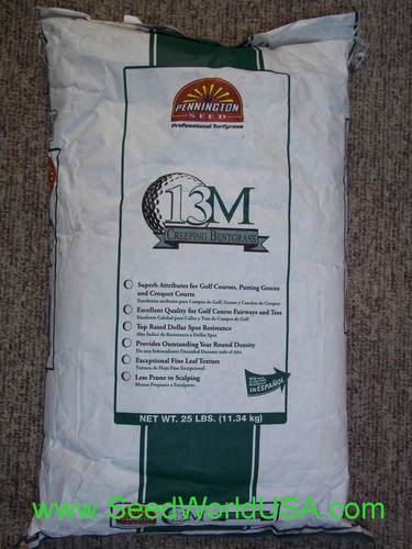 Crystal links bentgrass seed - ,